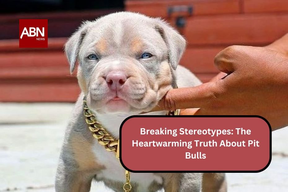 Breaking Stereotypes: The Heartwarming Truth About Pit Bulls