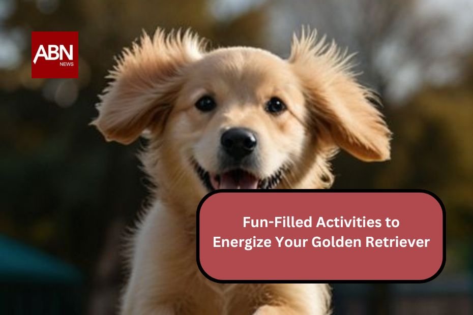 Fun-Filled Activities to Energize Your Golden Retriever