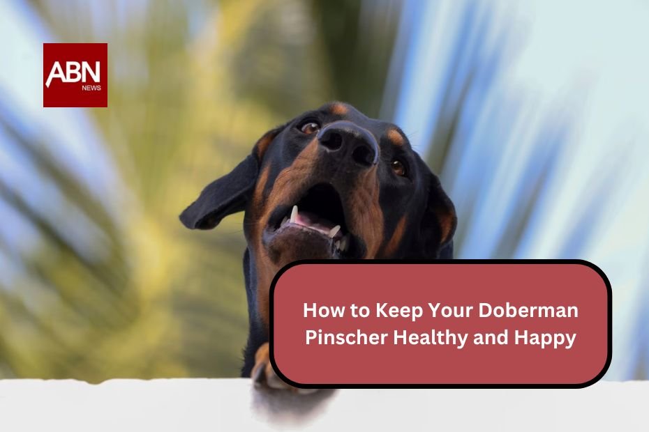 How to Keep Your Doberman Pinscher Healthy and Happy