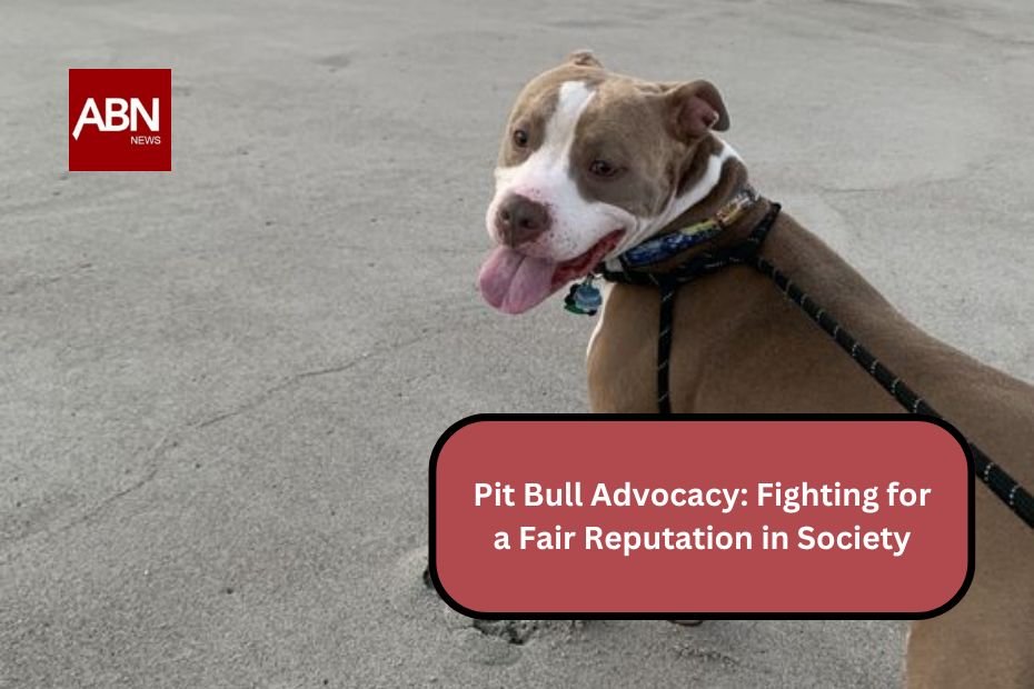 Pit Bull Advocacy: Fighting for a Fair Reputation in Society