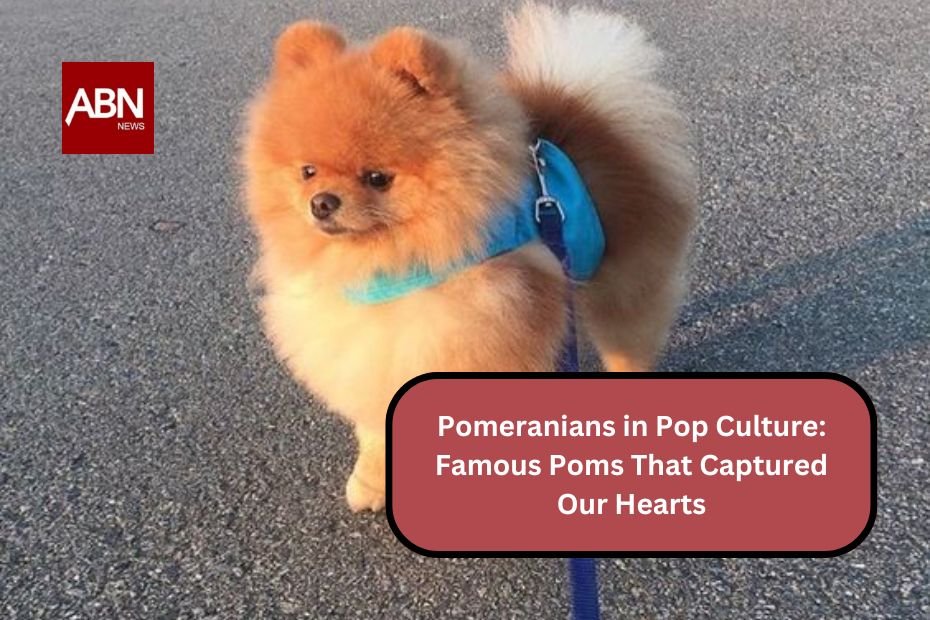 Pomeranians in Pop Culture: Famous Poms That Captured Our Hearts