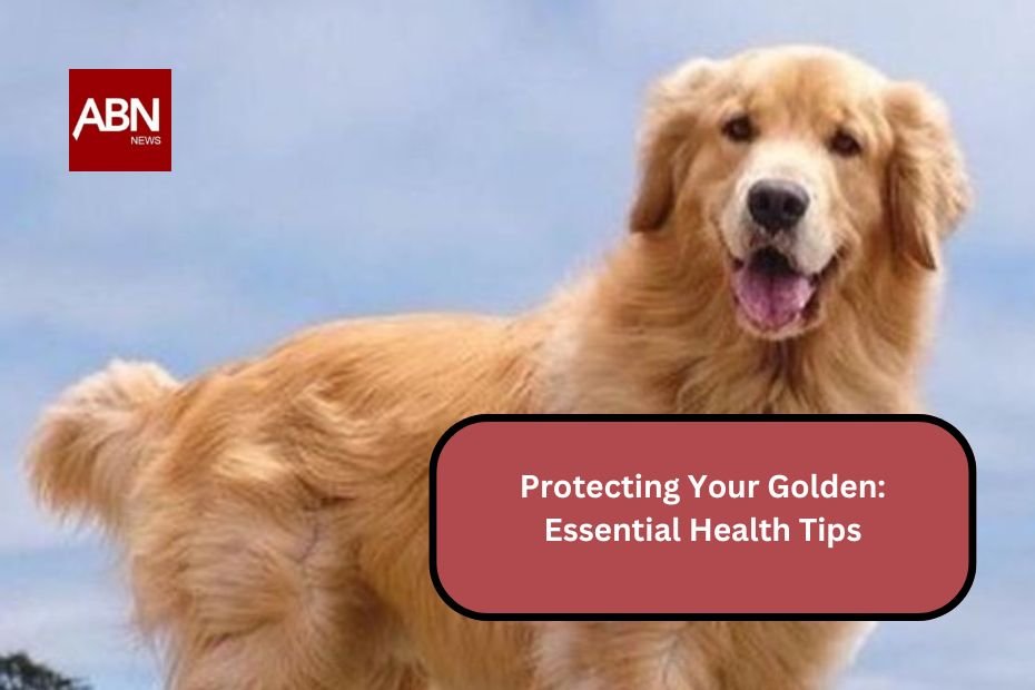 Protecting Your Golden: Essential Health Tips