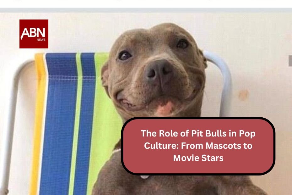 The Role of Pit Bulls in Pop Culture: From Mascots to Movie Stars