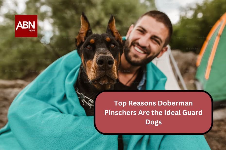 Top Reasons Doberman Pinschers Are the Ideal Guard Dogs