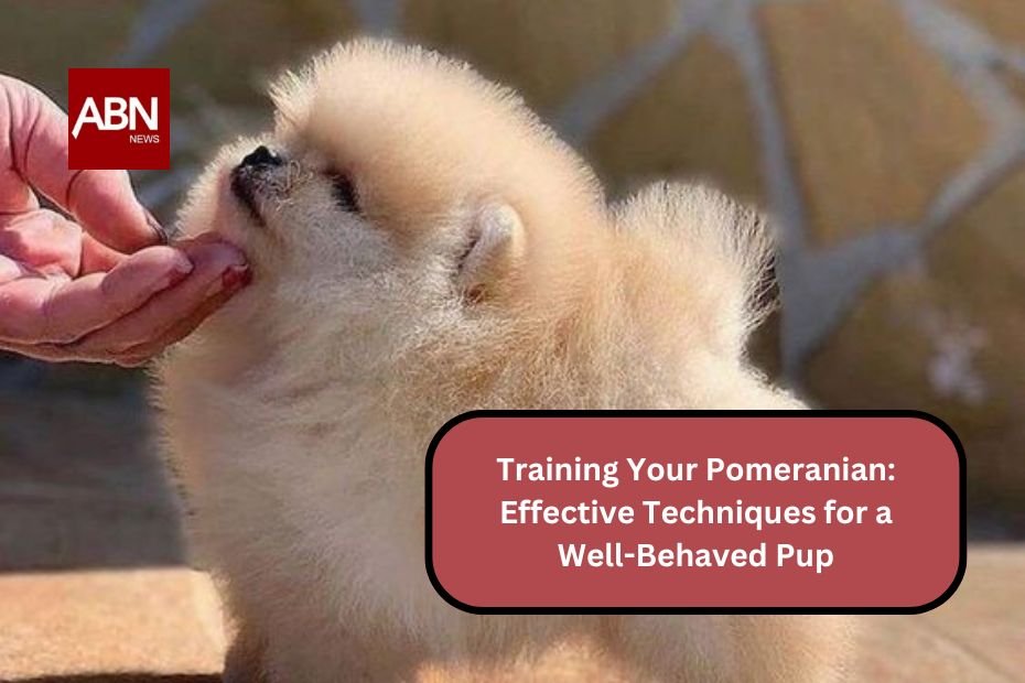 Training Your Pomeranian: Effective Techniques for a Well-Behaved Pup