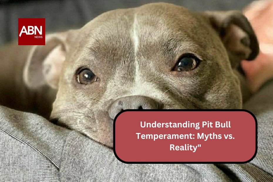 Understanding Pit Bull Temperament: Myths vs. Reality