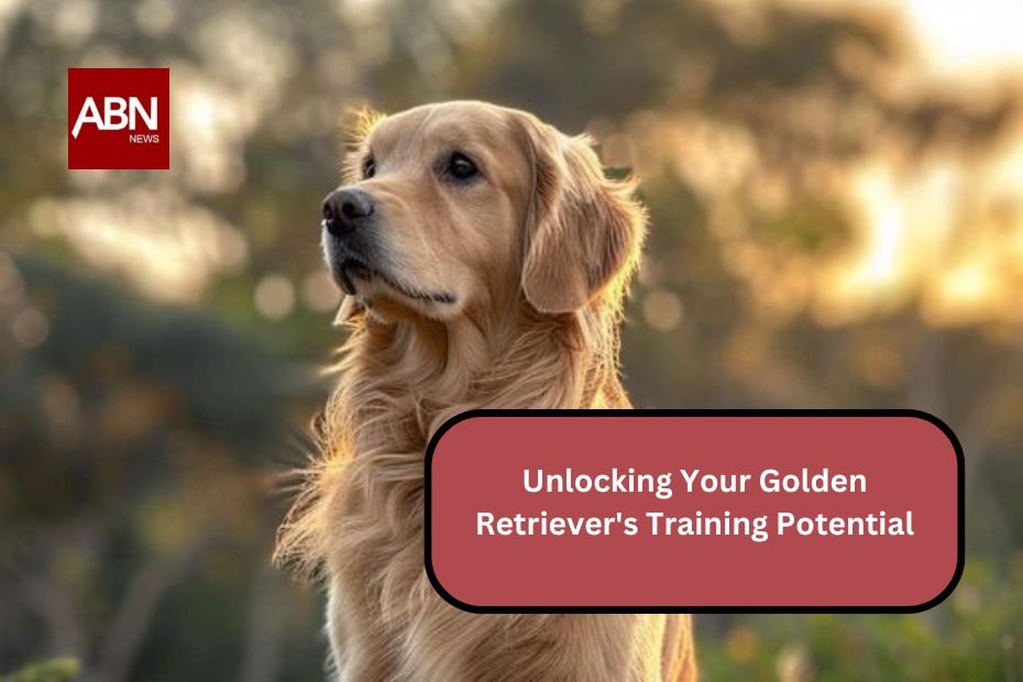 Unlocking Your Golden Retriever's Training Potential