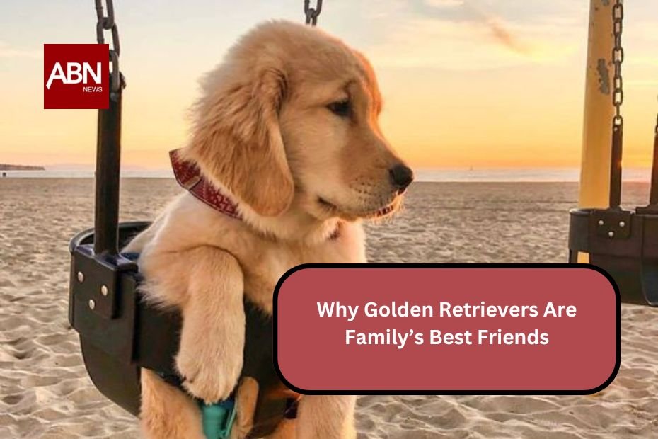 Why Golden Retrievers Are Family’s Best Friends