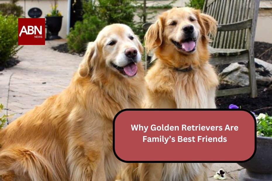 Why Golden Retrievers Are Family’s Best Friends